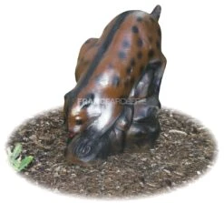 A.A. Cible 3D Lynx
