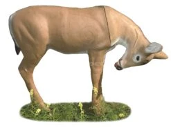 A.A. Cible 3D Cerf Tête Basse