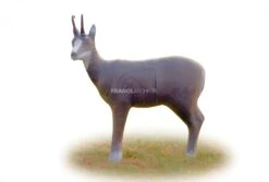 A.A. Cible 3D Chamois