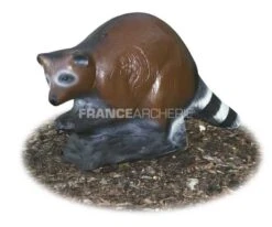 A.A. Cible 3D Raton Laveur