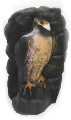 A.A. Cible 3D Faucon Dans Rocher