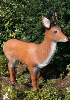 A.A. Cible 3D Chevreuil En Alerte