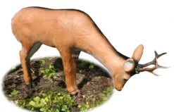 A.A. Cible 3D Chevreuil Qui Boit