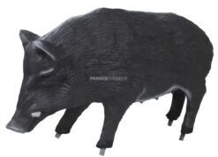 Center Point Cible 3D Laie