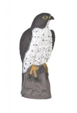 Center Point Cible 3D Faucon