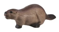 Center Point Cible 3D Castor