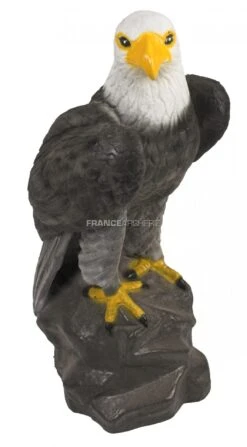 Center Point Cible 3D Aigle