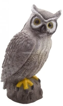 Center Point Cible 3D Hibou