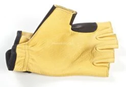 Big Tradition Gant Main De L'Arc Pro