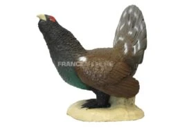 SRT Cible 3D Grand Tétra