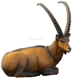 SRT Cible 3D Steinbock Couché