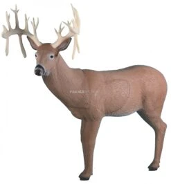 Rinehart Cible 3D Cerf