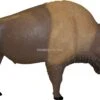 Rinehart Cible 3D Buffalo