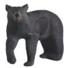 Rinehart Cible 3D Grand Ours Noir