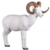 Rinehart Cible 3D Mouton De Dall