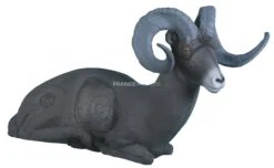 Rinehart Cible 3D Mouflon Couché
