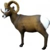 SRT Cible 3D Mouton Canadien