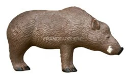 Rinehart Cible 3D Sanglier