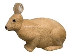 Rinehart Cible 3D Lapin