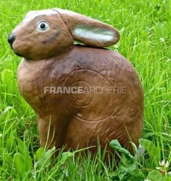 Center Point Cible 3D Lièvre