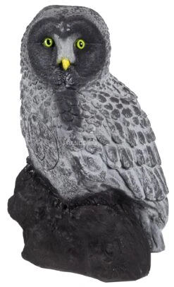 A.A. Cible 3D Chouette Effraie