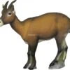 SRT Cible 3D Steinbock (femelle)