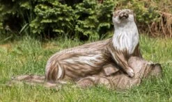 3D Inform Cible 3D Loutre