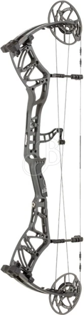 Bear 2022 Status EKO