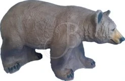 Center Point Cible 3D Ours Noir