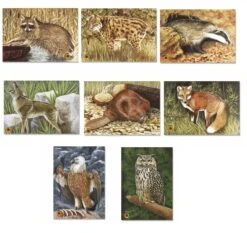 Krueger Blason Animalier IFFA - Groupe 3 (par 5)