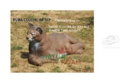 Natur Foam Cible 3D Puma Couché