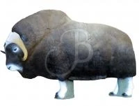 SRT Cible 3D Boeuf Musqué