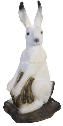 SRT Cible 3D Lièvre Variable