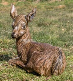 3D Inform Cible 3D Biche